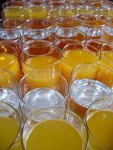 3rd European Congress on Family Science 2008, Vienna
